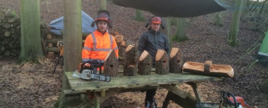 Chainsaw Maintenance and Cross-cutting Course