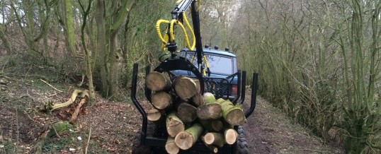 Timber Trailer