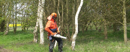 Chainsaw Training