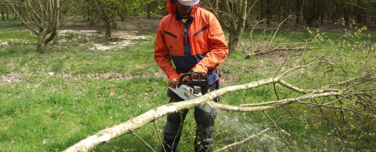 Processing with the chainsaw