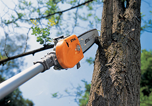 Pole Pruner